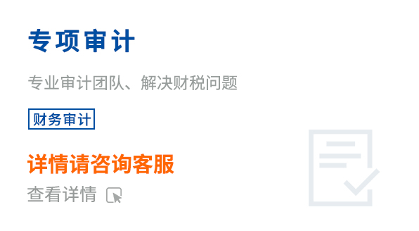 專項(xiàng)審計(jì)
